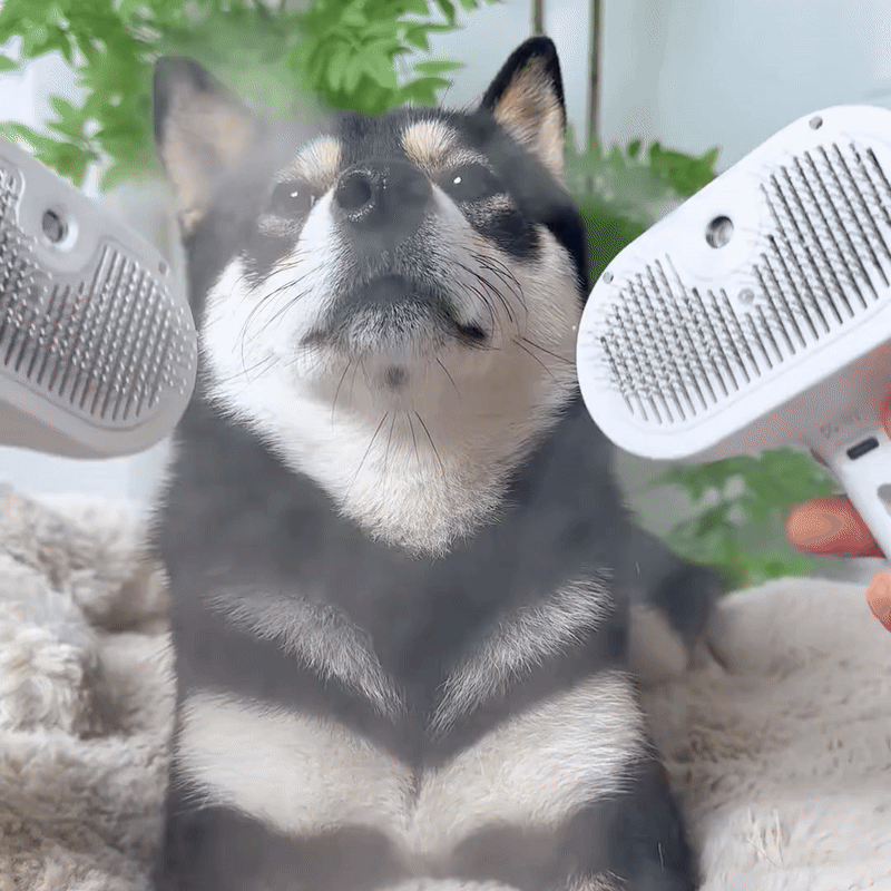 🐶✨ Make Grooming a Relaxing Ritual of Love 💆‍♂️